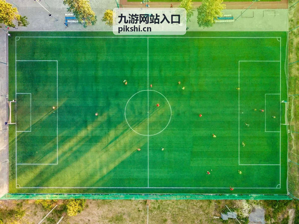散人玩家小宇使用九游网站入口案例